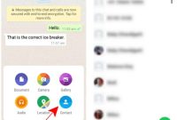 Efficient WhatsApp Video Sharing Tips & Tricks
