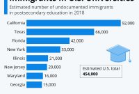 Immigration and Education: Impact on Schools and Students