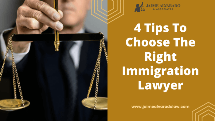 lawyer immigration