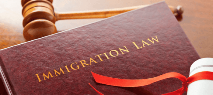 immigration lawyer law experienced hire