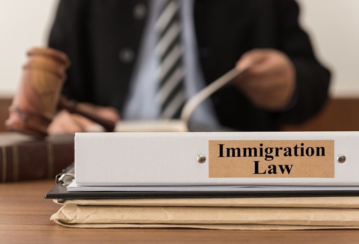 immigration lawyer basic does guide 2021 bonds might ice change