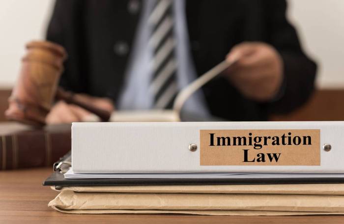 The Benefits of Hiring an Immigration Lawyer