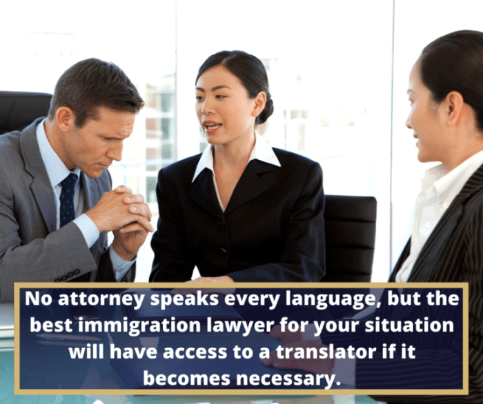 Common Immigration Issues and How a Lawyer Can Help