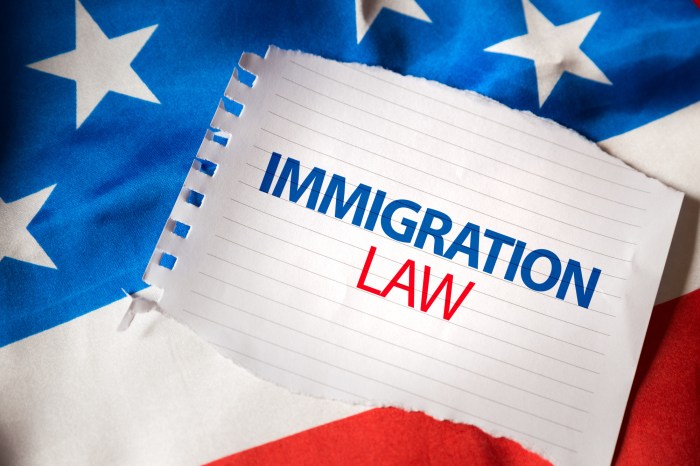 Common Immigration Issues and How a Lawyer Can Help terbaru