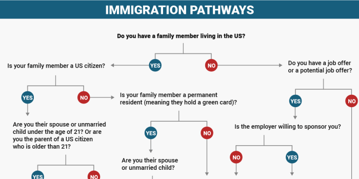 Navigating the Immigration Process: Why You Need a Lawyer