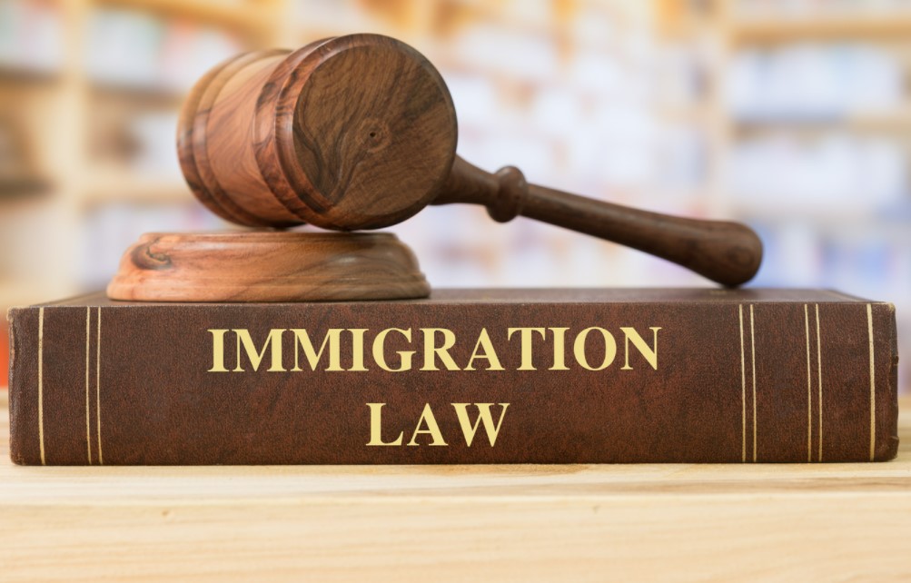 immigration guide law