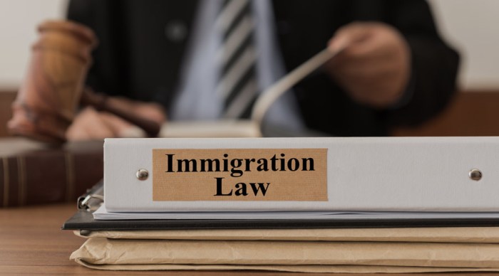 The Importance of Legal Representation in Immigration Cases