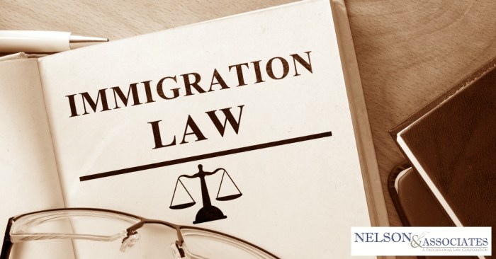The Importance of Legal Representation in Immigration Cases terbaru
