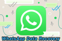whatsapp recover history chat